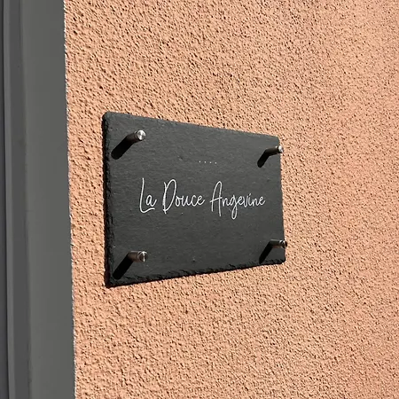 La Douce Angevine Apartamento Angers