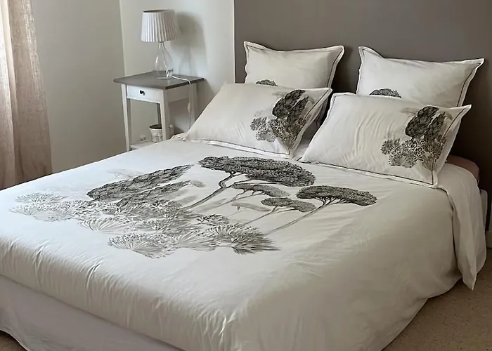 Appartement La Douce Angevine