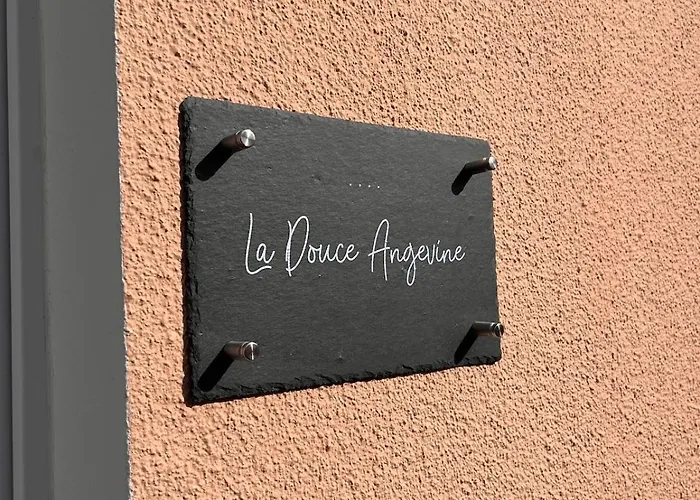 La Douce Angevine Apartman Angers